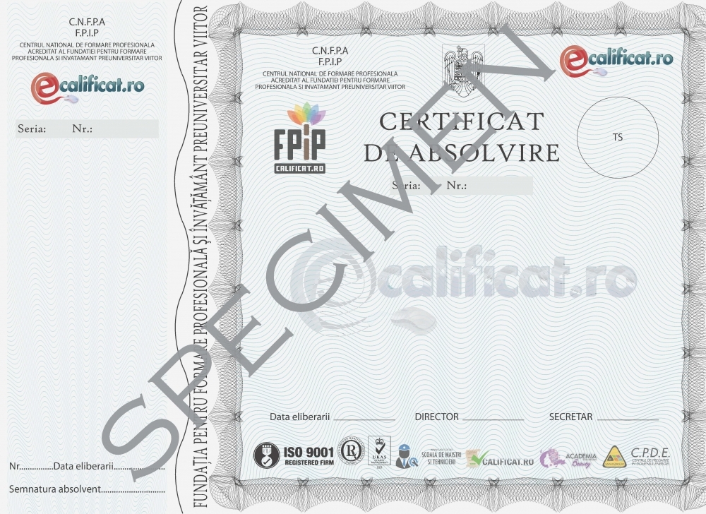 Certificat curs on-line (emis de Fundaţia F.P.I.P-Viitor)