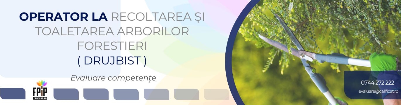OPERATOR LA RECOLTAREA SI TOALETAREA ARBORILOR FORESTIERI - DRUJBIST / CALIFICARE obținută pe baza experienței, prin evaluare / Program autorizat ANC
